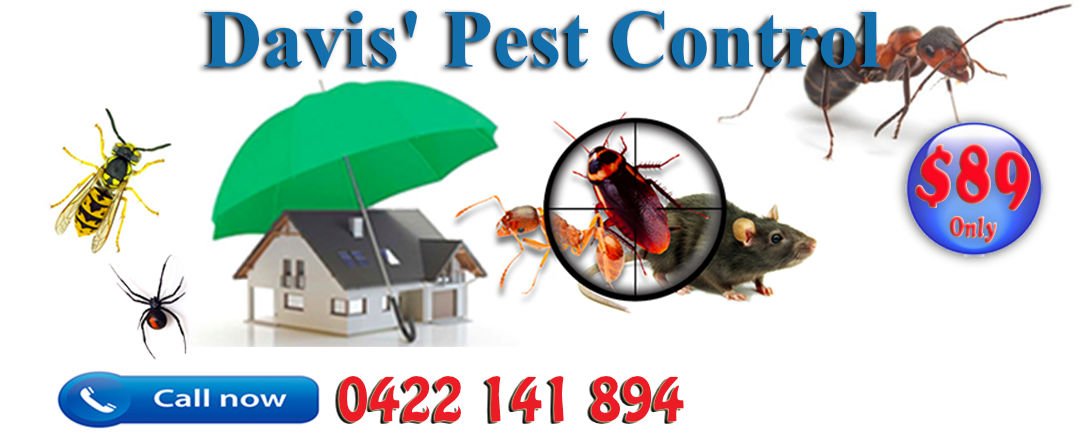 Davis’ Pest & Termite Control